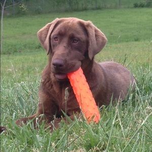 Meet your Posher, Meagan